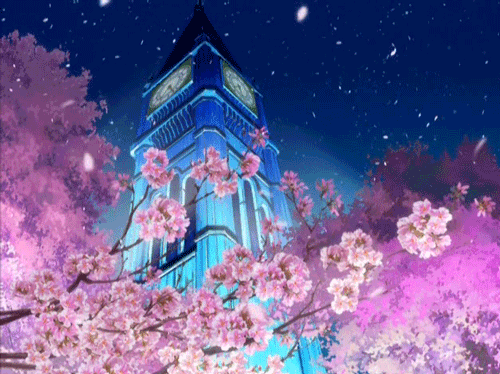 樱花雨~ - 堆糖,美图壁纸兴趣社区