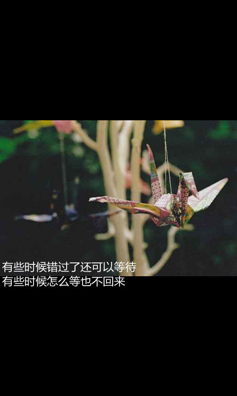 有些时候错过了还可以等待 有些时候怎么等也不回来