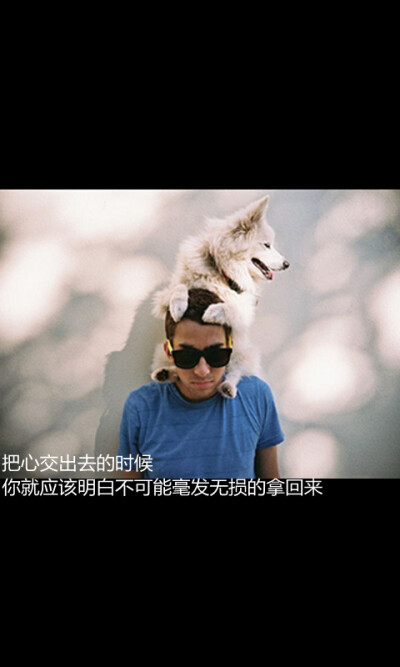 把心交出去的时候 你就应该明白不可能毫发无损的拿回来