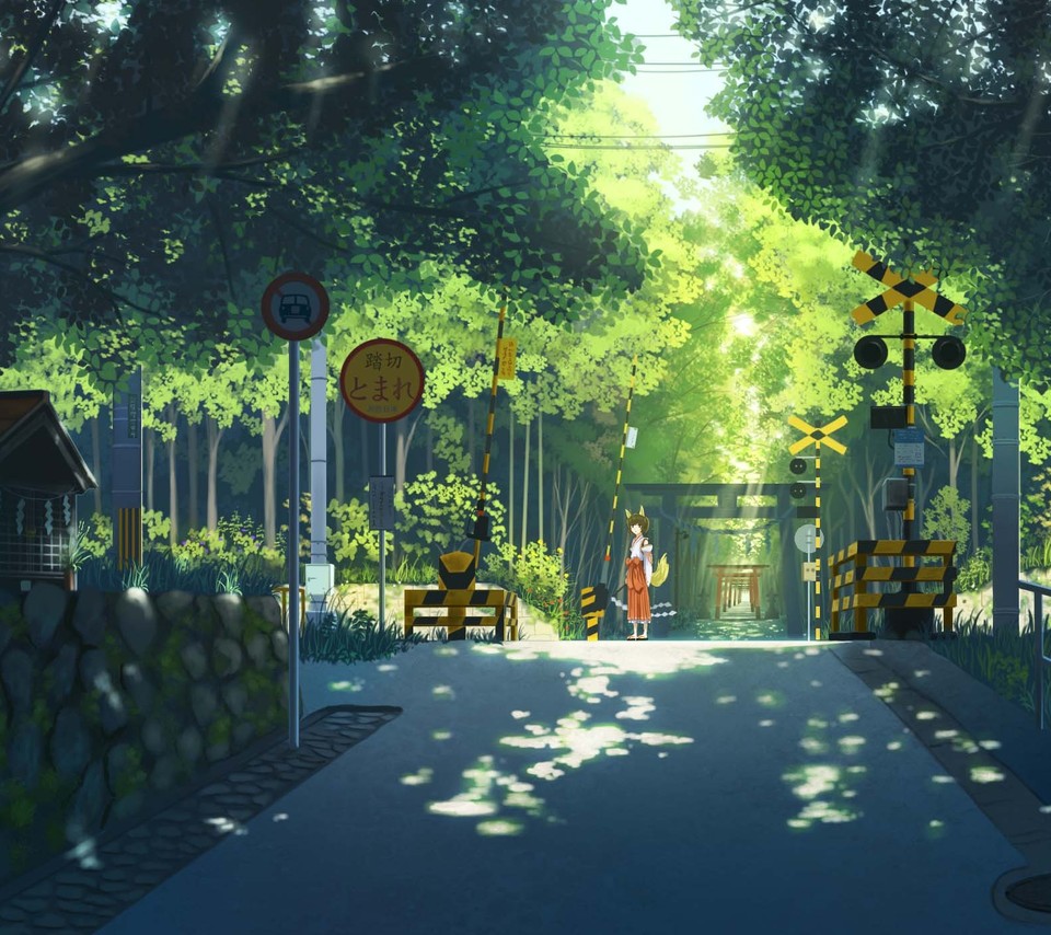 树荫夏天插画动漫