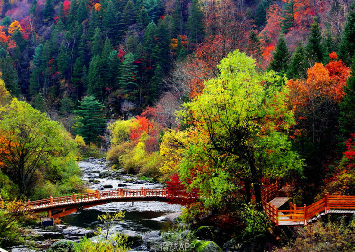 3,长白山红松阔叶混交林(吉林) 红松阔叶混交林集中分布在小兴安岭,张