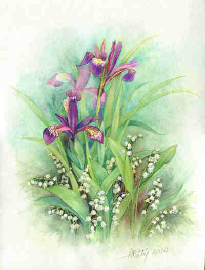 法国艺术家anne-marie patry-belluteau花与海的水彩画集.