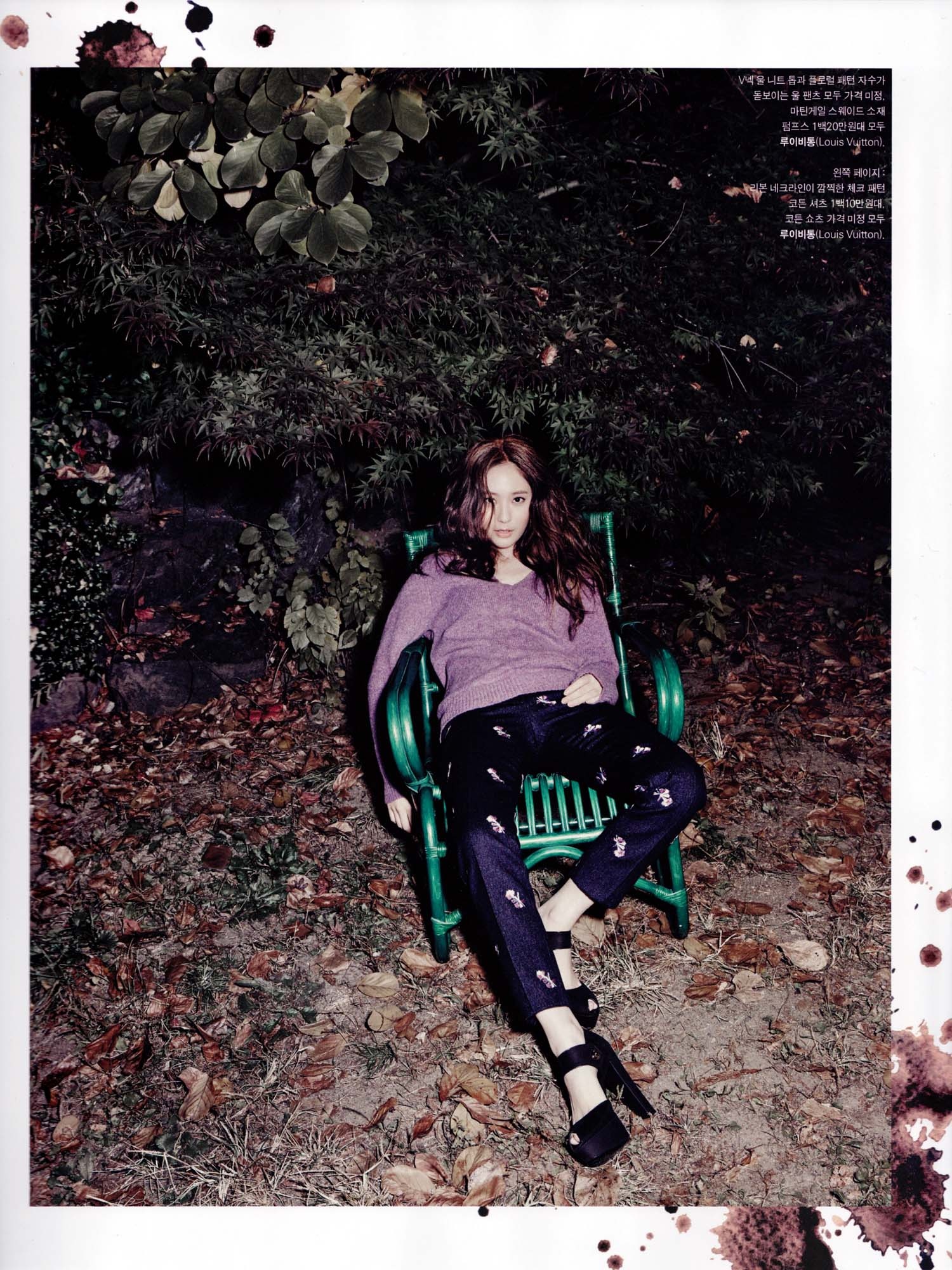 继承者们 晶 krystal