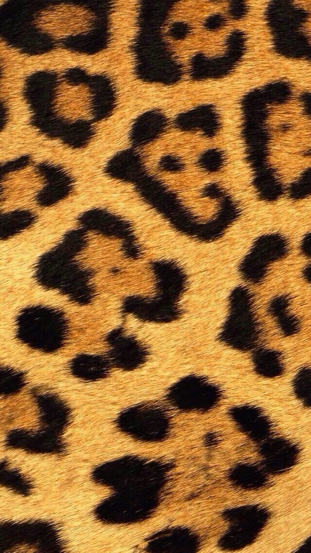 豹纹壁纸 iphone图片