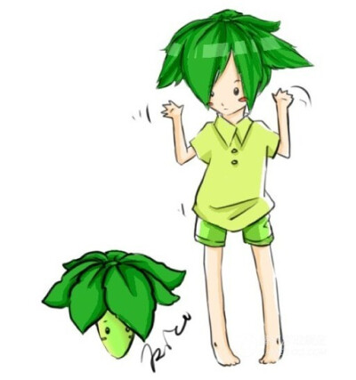 叶子保护伞