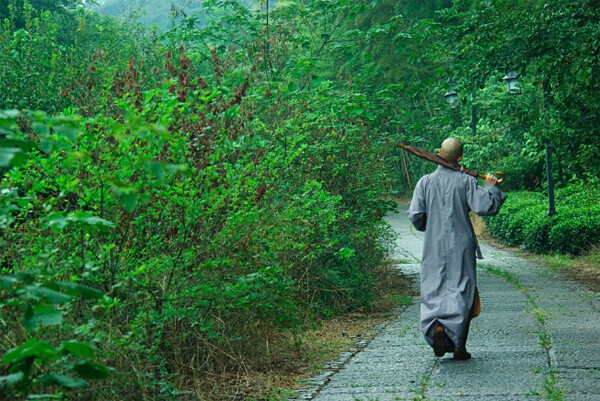 佛学院的学僧走在山间小路上