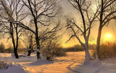 雪景