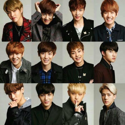 exo 最爱的十二只