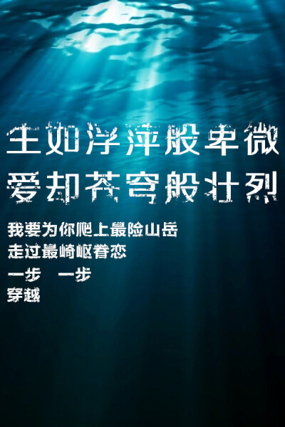 每个人心中都有一个五月天,每个人都会被五月天的歌词打动