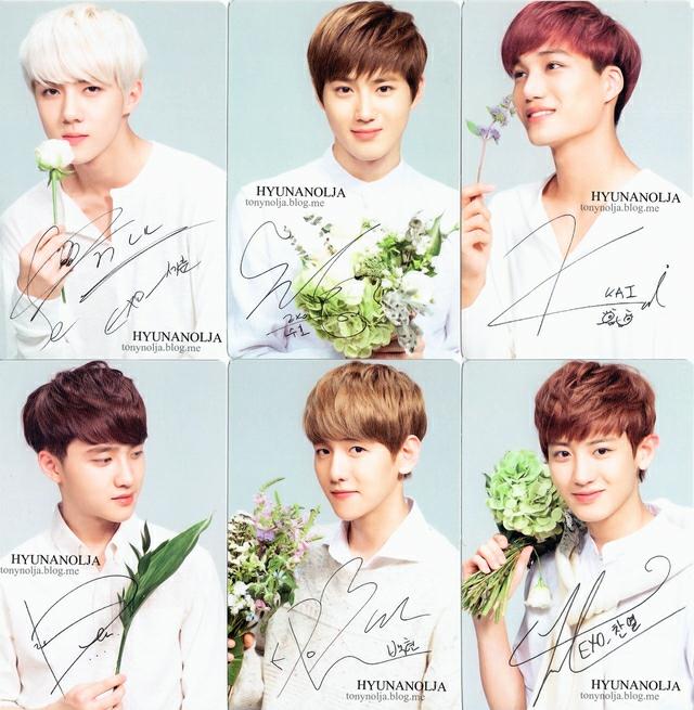 exo-k 自然乐园签名小卡