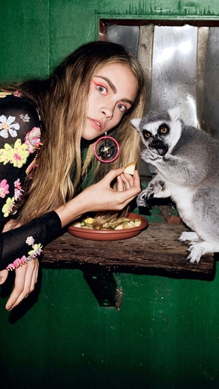 欧美风小清新iphone5壁纸