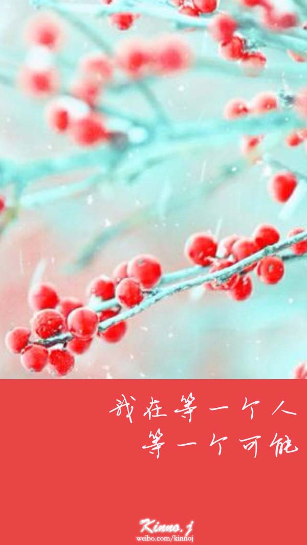 我在等一个人 等一个可能