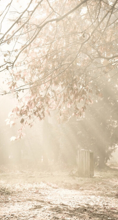 唯美风景i - 堆糖,美图壁纸兴趣社区