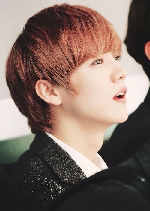 exo-鹿晗