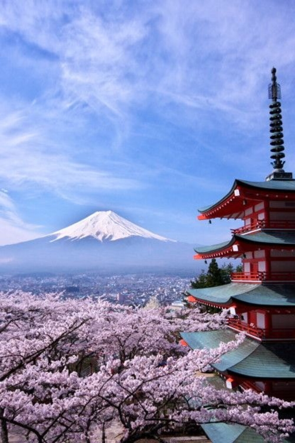 三月去哪里看樱花:日本,富士山