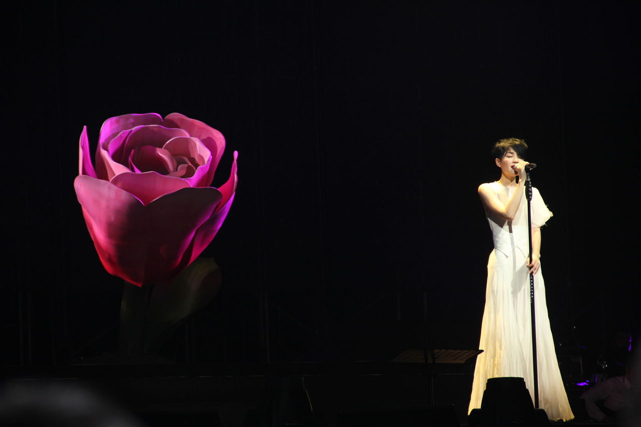 2010 — 2011 王菲演唱会 