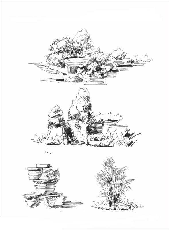 绘晨手绘 室外植物手绘效果图 景观单体手绘效果图 景观植物线稿 绘晨