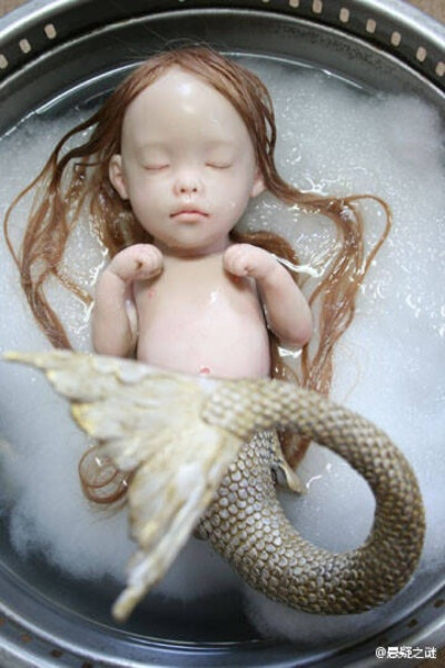 美人鱼baby