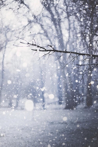 下雪风景微信图片