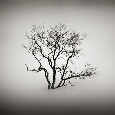 你自己说表情包