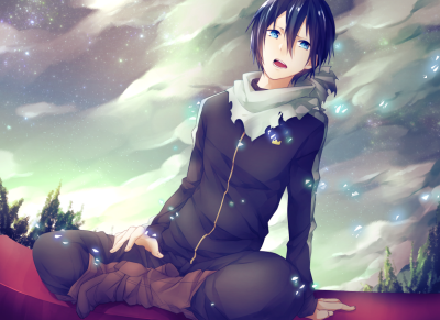 野良神夜雪