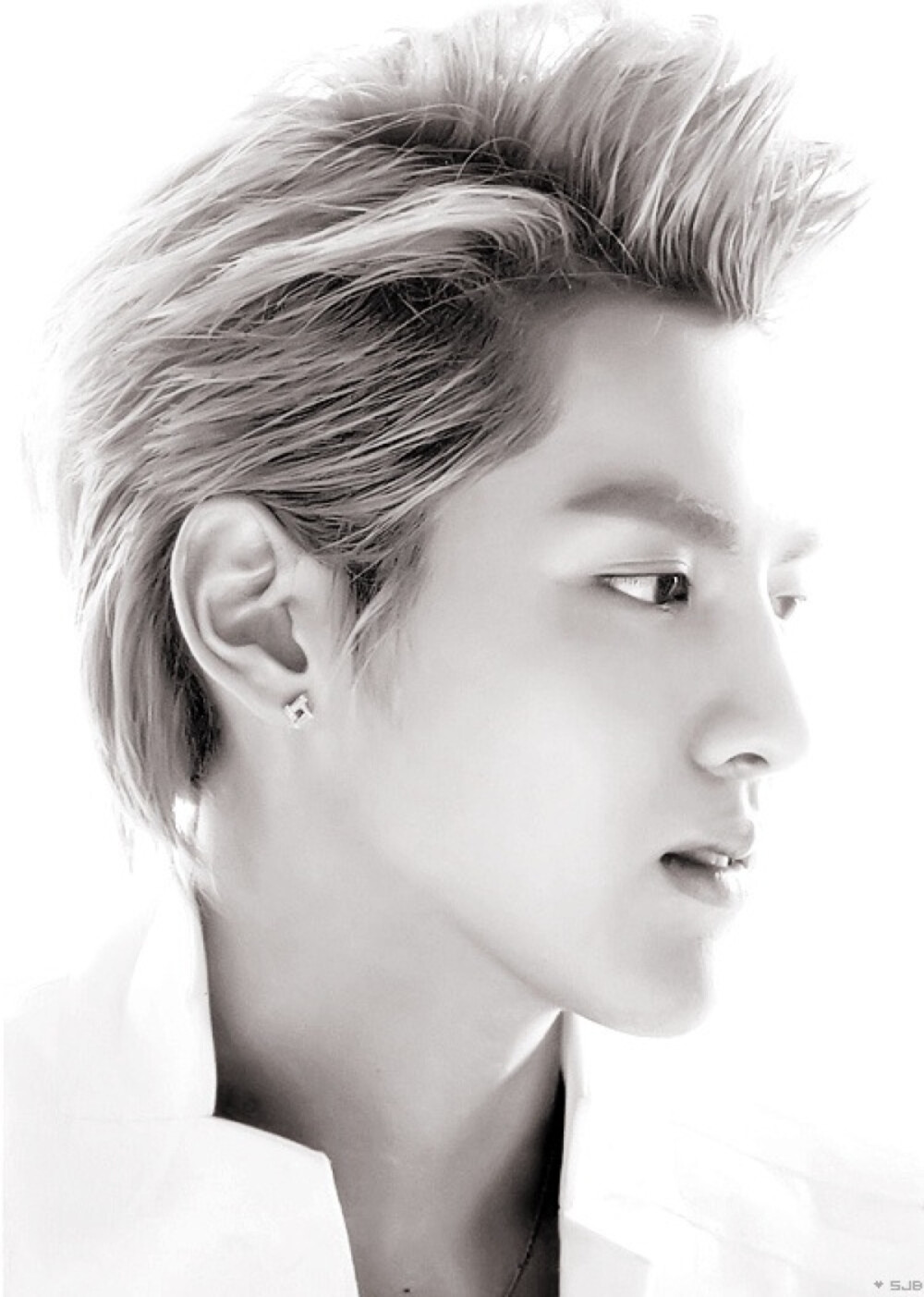exo# kris
