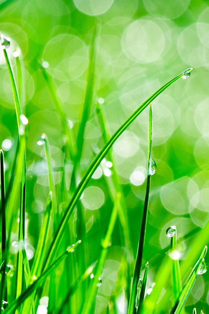 堆糖,美图壁纸兴趣社区