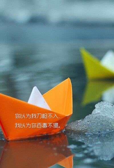 却未必能得到别人的.你以为我刀枪不入.我以为你百毒不侵.