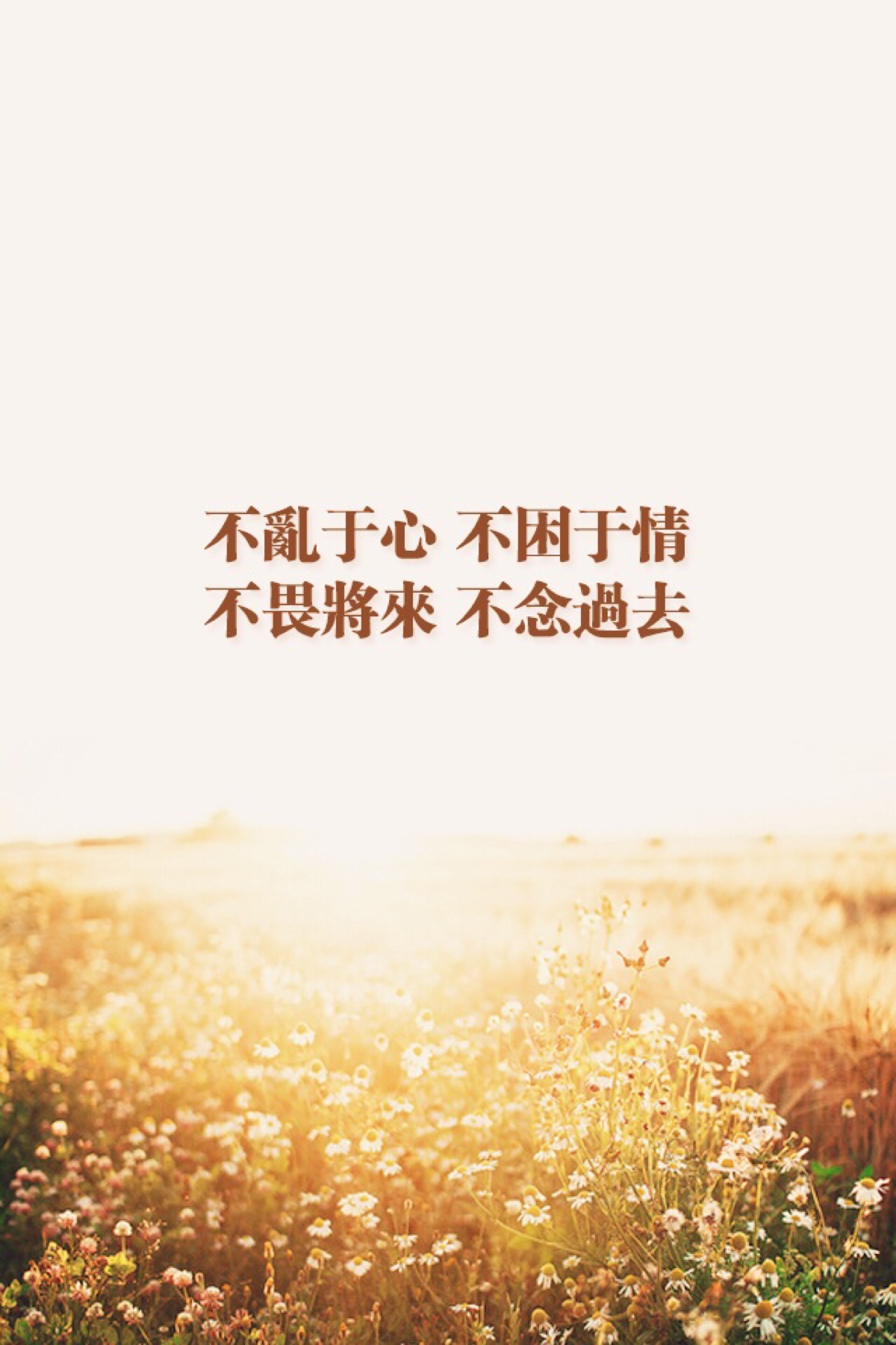 不乱於心.不困於情.不畏将来.不念过去.