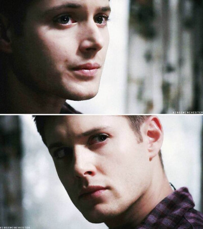jensen ackles,dean