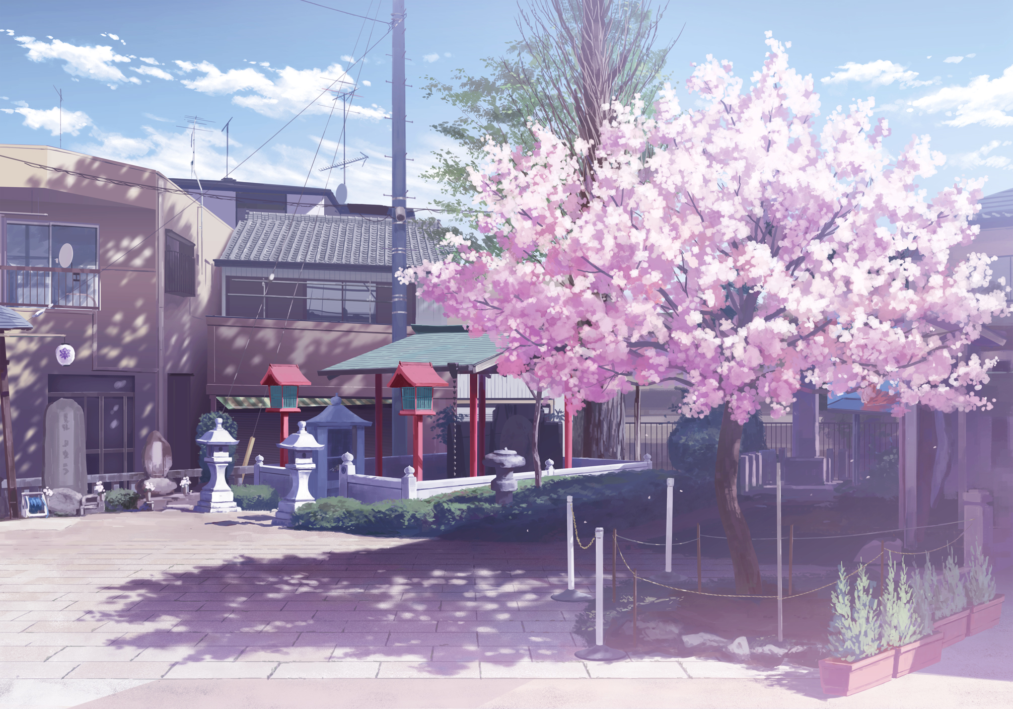 栗桥の静桜 p站 二次元 插画 手绘 风景 壁纸 樱花 盛放