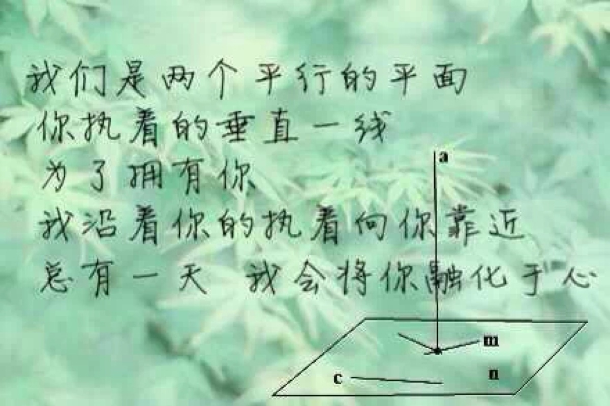 壁纸美图 文字图片