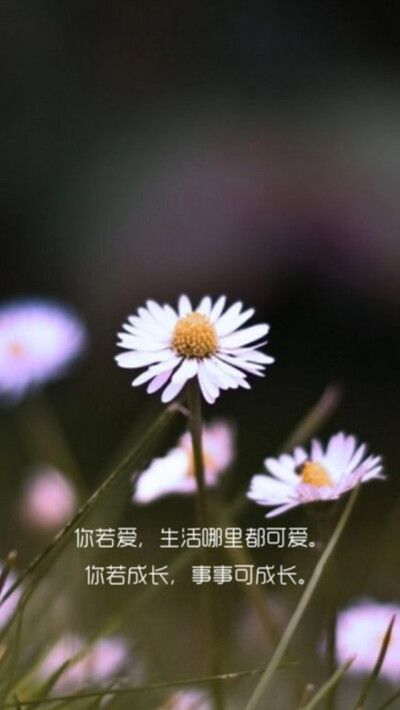 生活哪里都可恨.你若感恩.处处可感恩.你若成长.事事可成长.