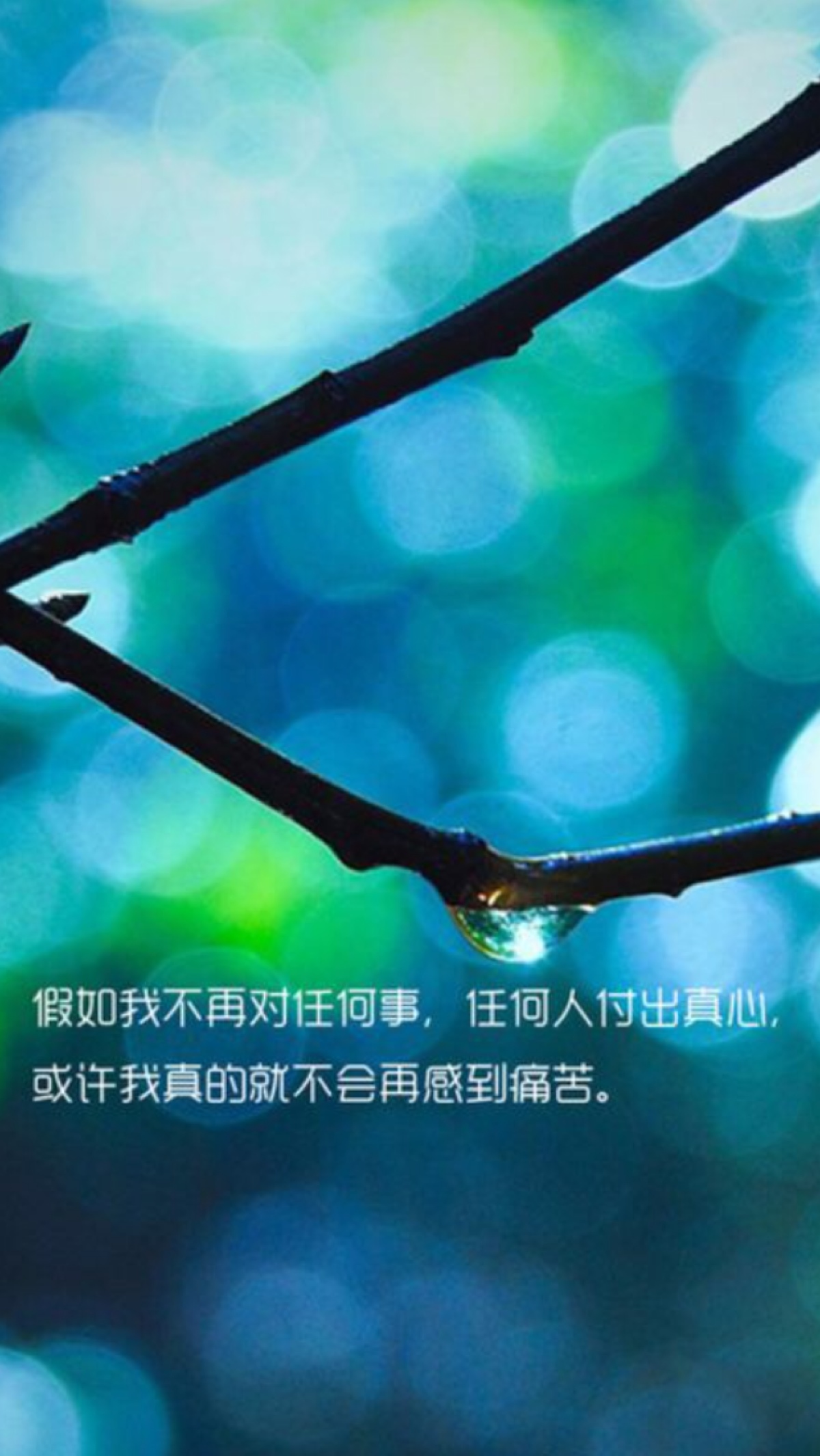 假如我不再对任何事.任何人付出真心.或许我真的就不会再感到痛苦.