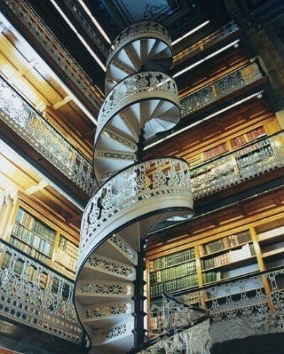 荷兰古图书馆