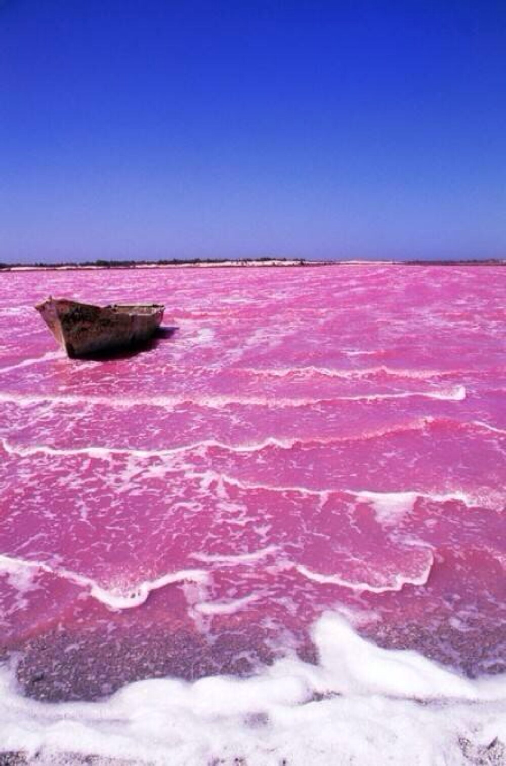 粉色的湖 澳洲的希利尔湖 &amp; 非洲的塞内加尔湖