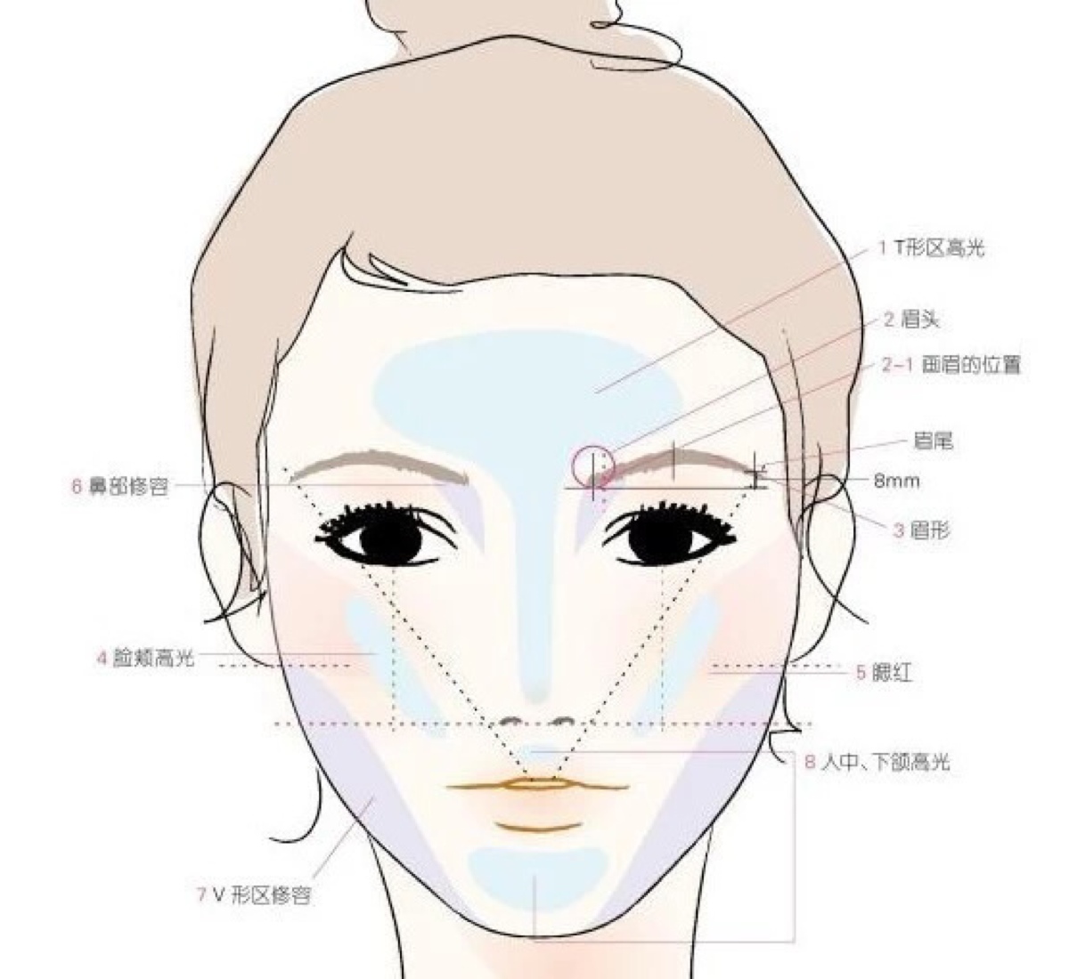 脸部光影结构图片