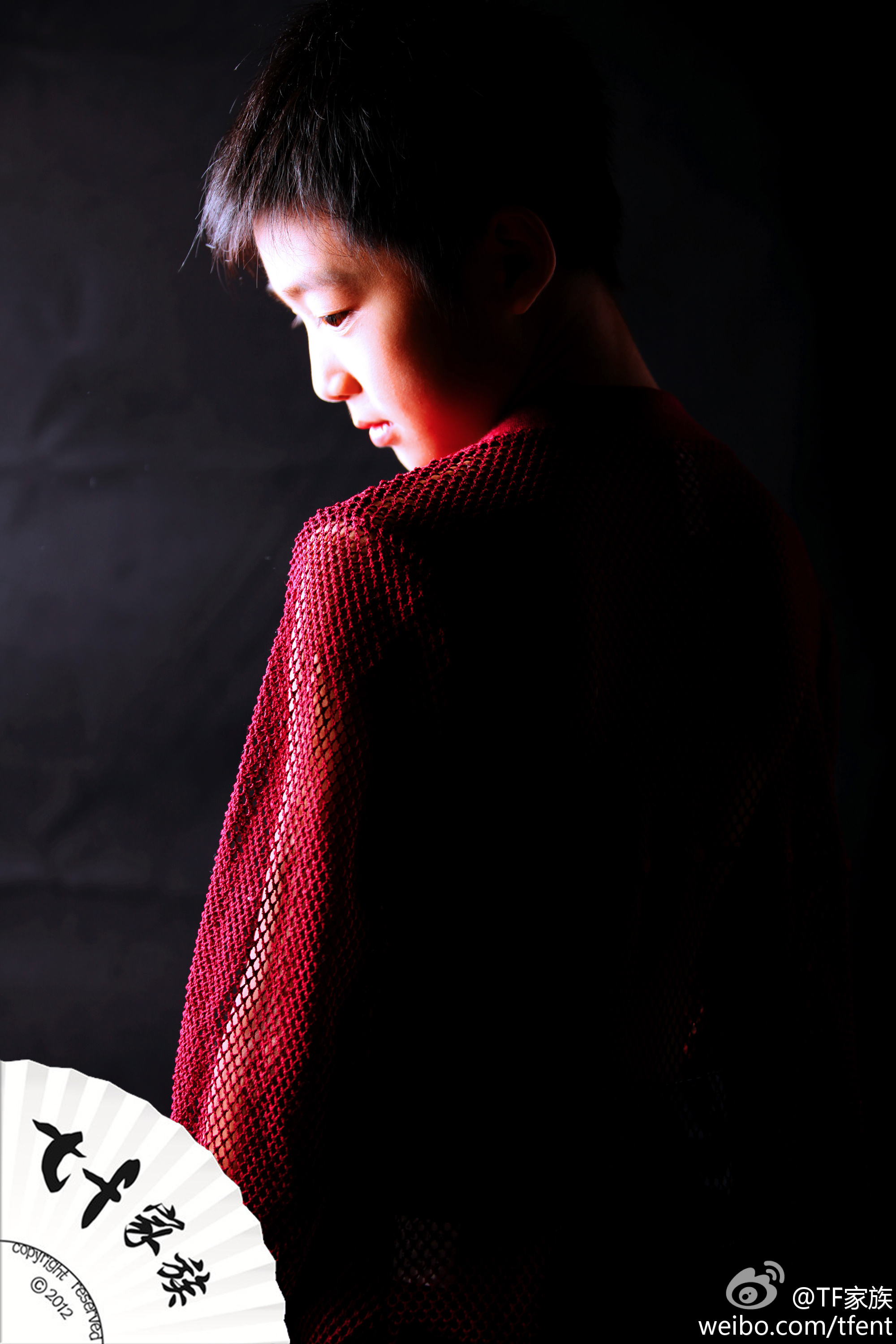 tf家族刘志宏20121029