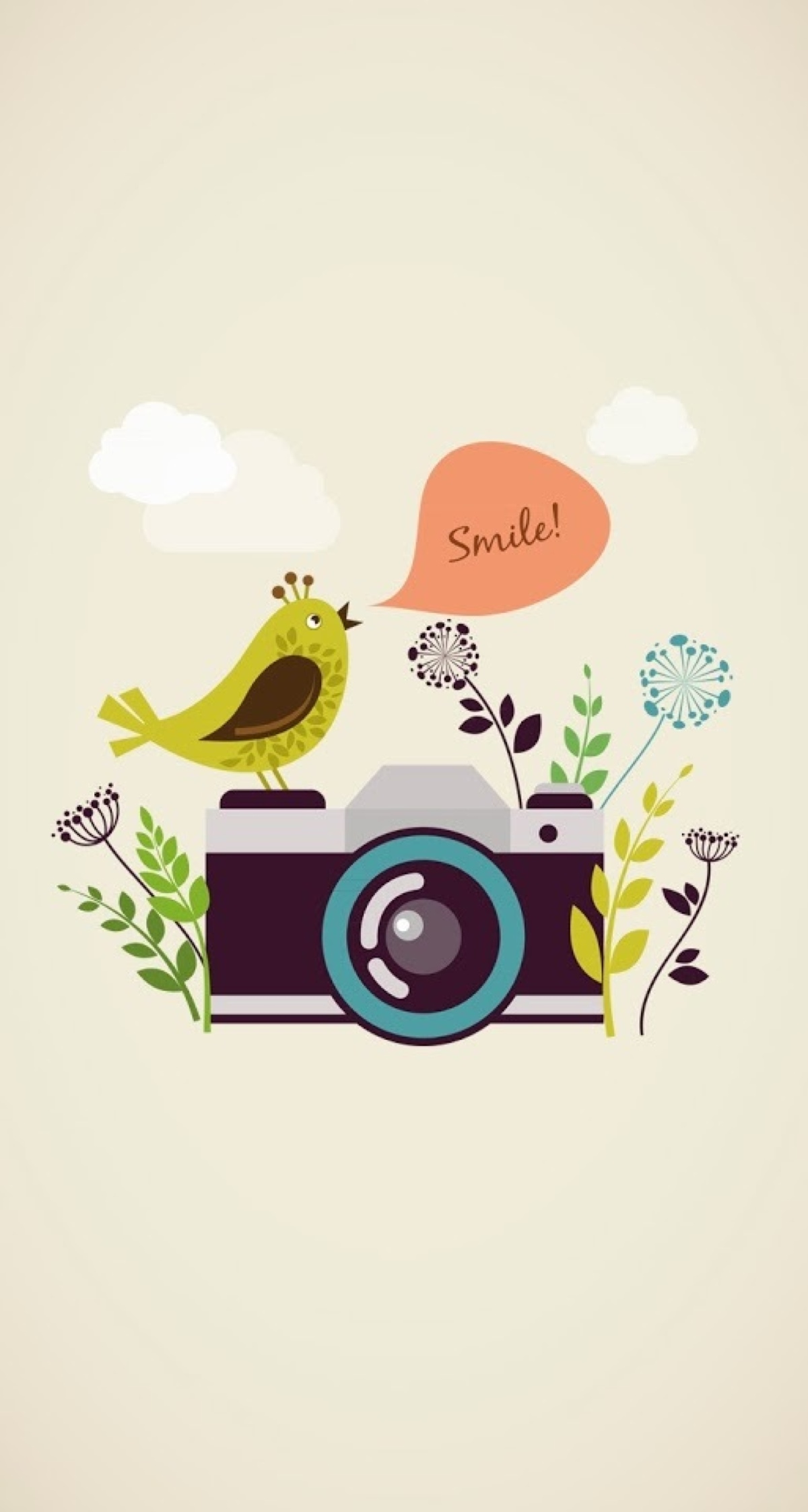 相机 小鸟 smile