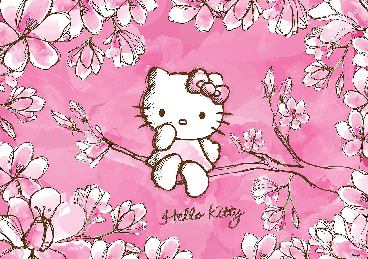 hello kitty ~~ 