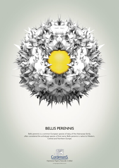 创意洗发水广告