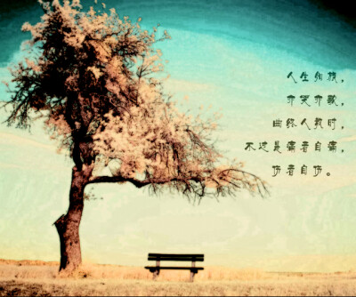 人生如旅,亦歌亦哭.曲散人终时,不过是痛者自痛,伤者自伤.