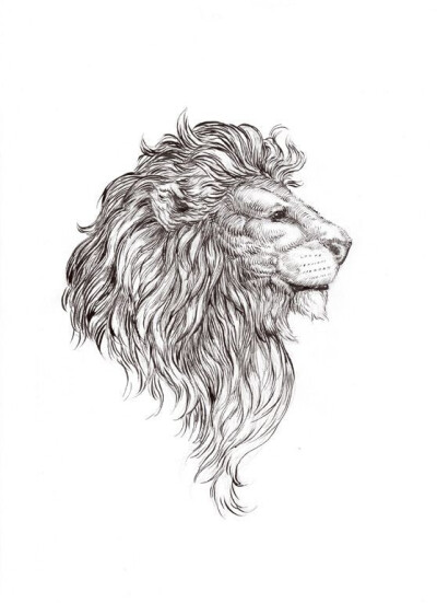 卢沟桥的狮子白描画图片