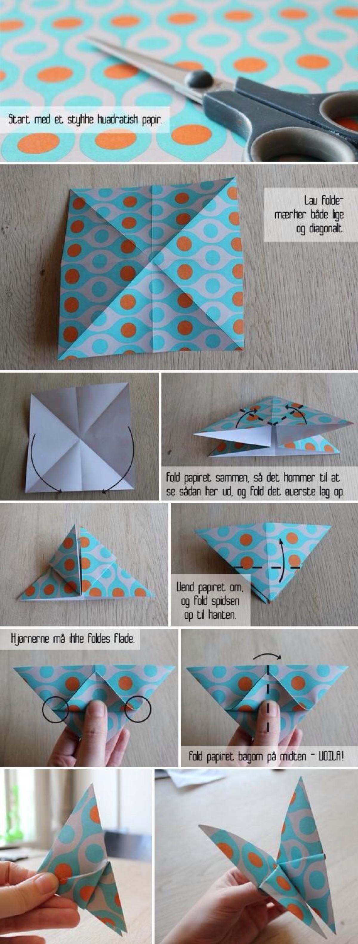 手工达人的蝴蝶折纸教程