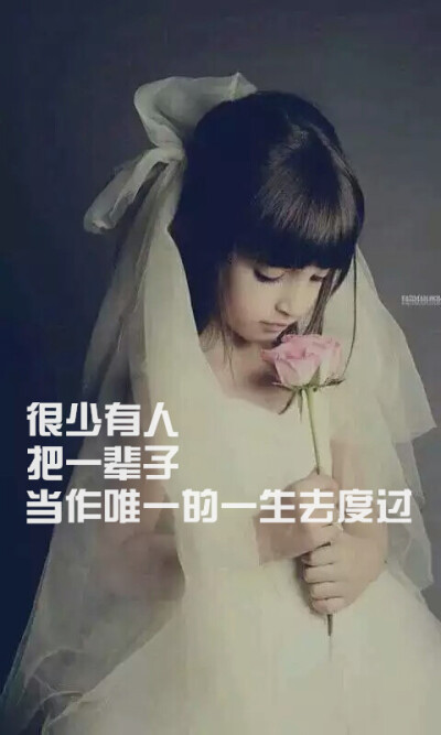 我终究讨好不了所有人.【文字壁纸】