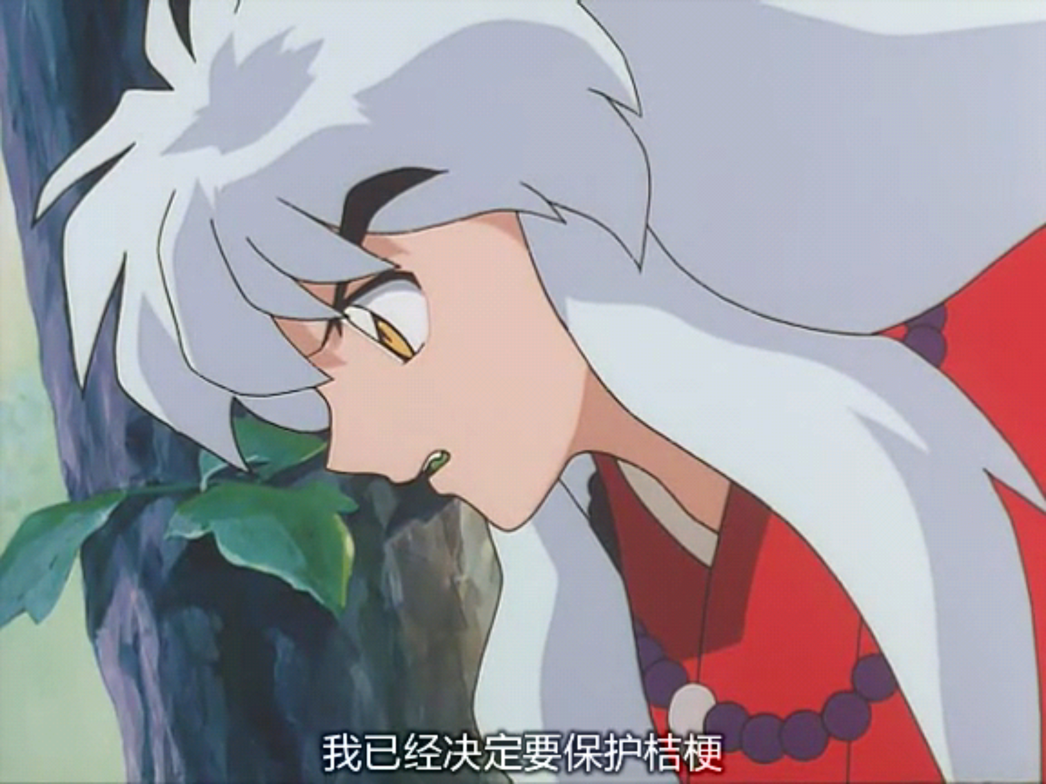 【犬夜叉】 犬夜叉 inuyasha