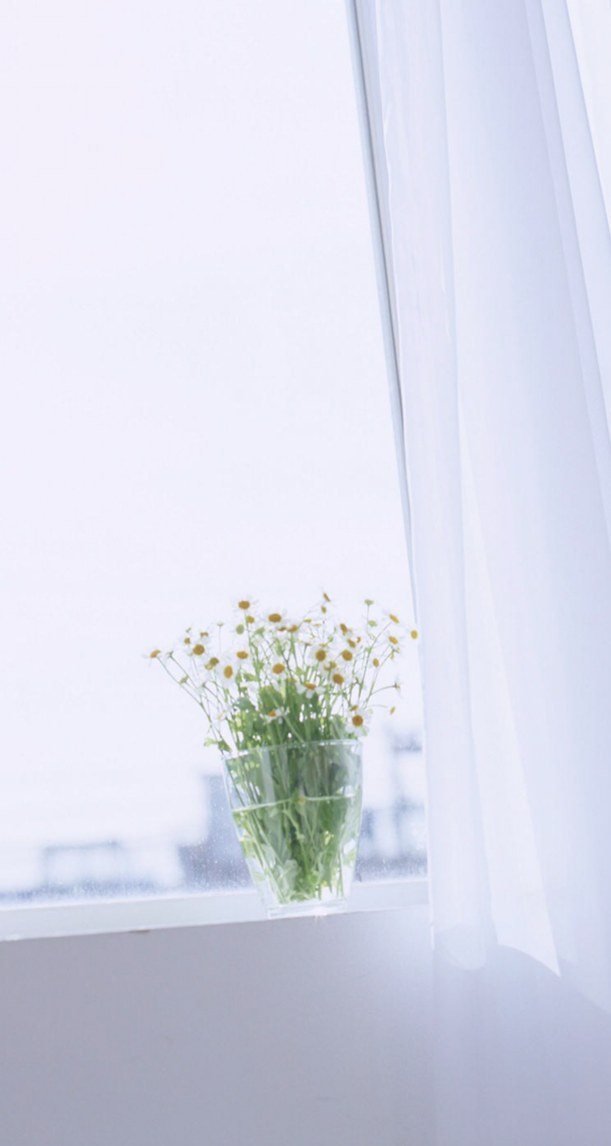 小清新壁纸～不定期更新～喜欢的话记得点赞和关注哦