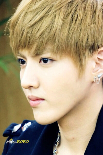 exo 吴亦凡kris