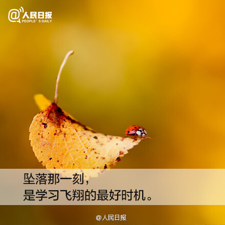 有时我们以为无路可走,其实是人生另一段旅程的开端.