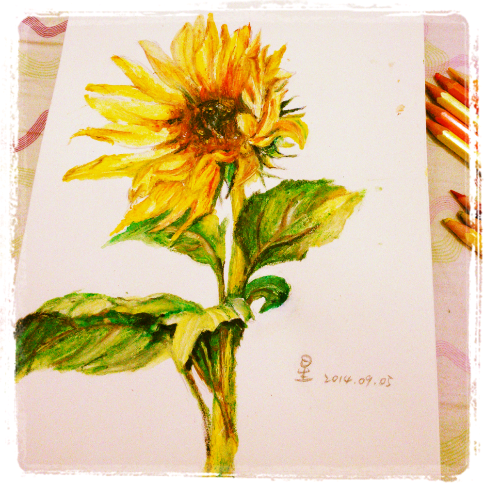 我的第一幅彩铅画大爱向日葵